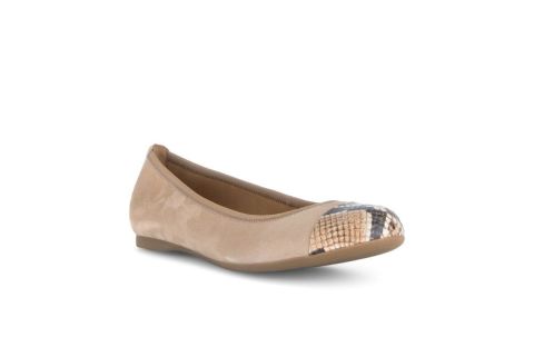 Invalid use of alt Image variable