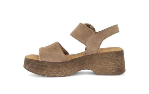 Invalid use of alt Image variable