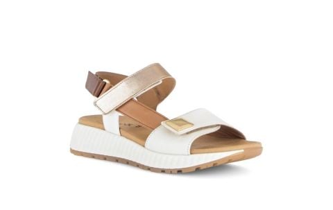 Invalid use of alt Image variable