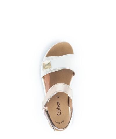 Invalid use of alt Image variable