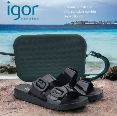 Invalid use of alt Image variable