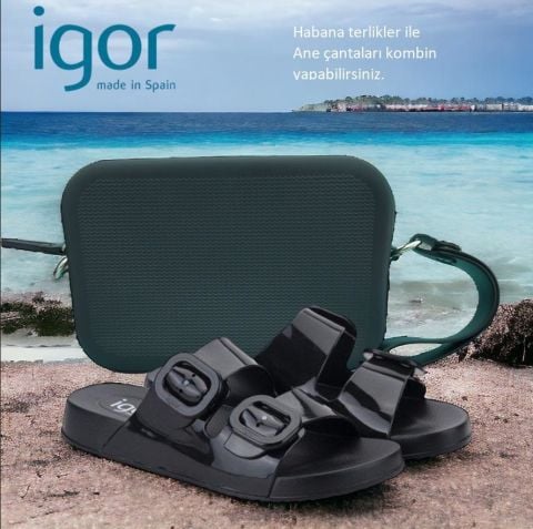 Invalid use of alt Image variable