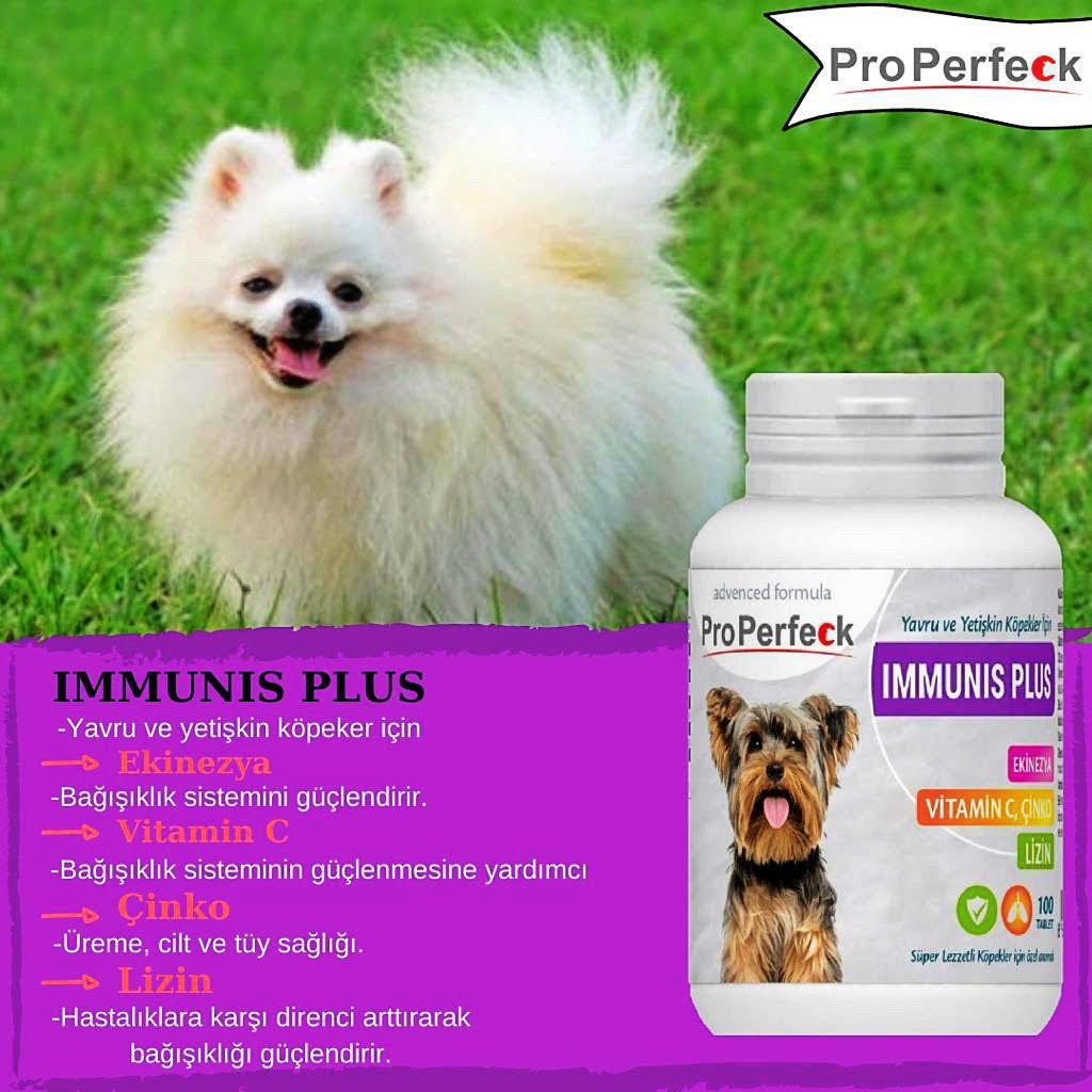 PRO PERFECK KÖPEK IMMUNIS PLUS 100 TABLET