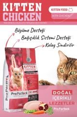 PREMİUM TAVUKLU NARLI HAVUÇLU YAVRU KEDİ MAMASI 2 KG