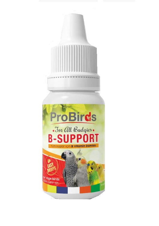 Pro Birds B-Support Kuşlar İçin B Vitamini 30 ML 6 Adet