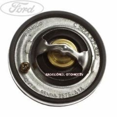 FOCUS TERMOSTAT 1999-2004