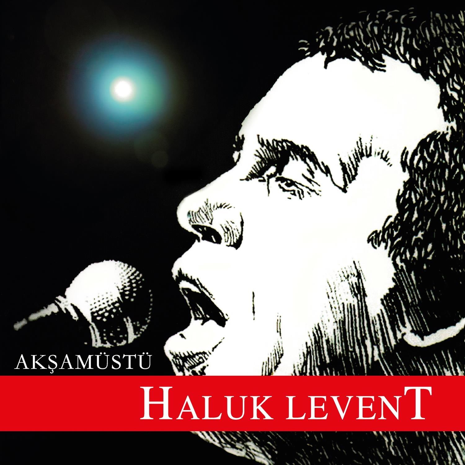 Haluk Levent - Akşamüstü 33'lük Yeni Baskı Plak