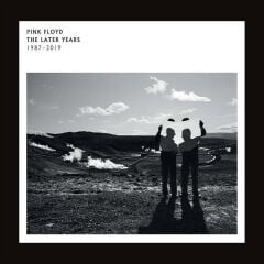 Pink Floyd - The Later Years 1987-2019 Çift Plak 33'lük
