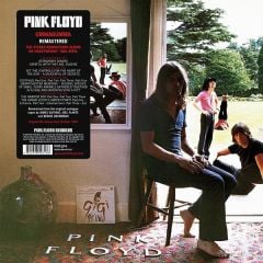 Pink Floyd - Ummagumma 33'lük Çift Plak