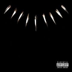 Black Panther The Albüm (2 Plak)