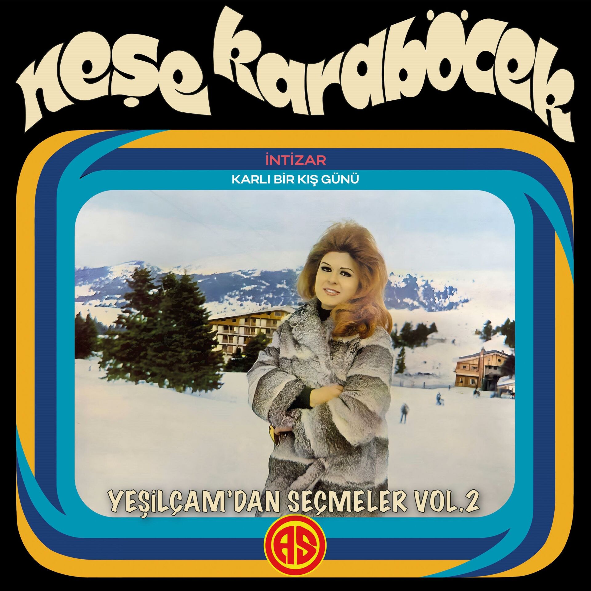 Neşe Karaböcek - Yeşilçamdan Seçmeler 2 Plak