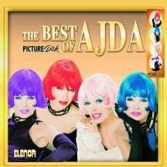 Ajda Pekkan - The Best Of Ajda Resimli 2'li Plak