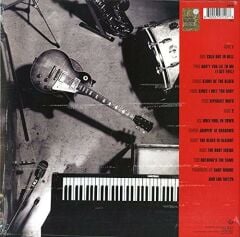 Gary Moore - After Hours 33'lük Plak