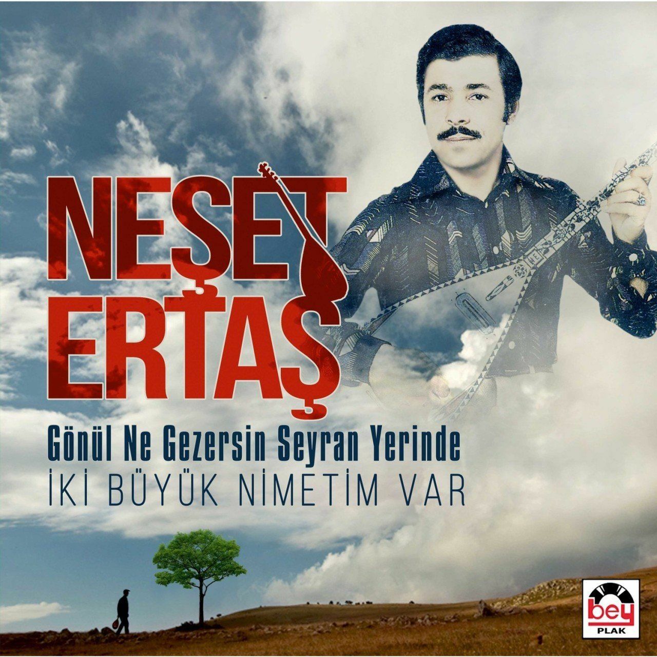 Neşet Ertaş - Gönül Ne Gezersin Seyran Yerinde (Plak - 33 Devir)