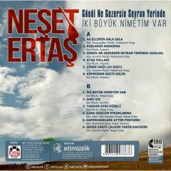 Neşet Ertaş - Gönül Ne Gezersin Seyran Yerinde (Plak - 33 Devir)