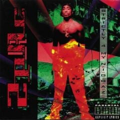 2Pac - Strictly 4 My N.I.G.G.A.Z 33'lük Çift Plak