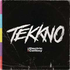 Tekkno - Electric Callboy 33'lük Plak