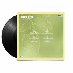 Sezen Aksu - Deli Kızın Türküsü (2'li Plak - 33 Devir)