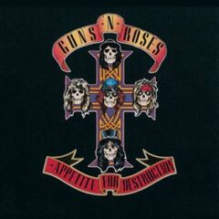 Guns N Roses - Appetite For Destruction (Yeni Baskı Plak)