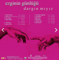 Ezginin Günlüğü - Dargın Mıyız 33'lük Plak