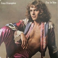 Peter Frampton I'm İn You  LP Plak