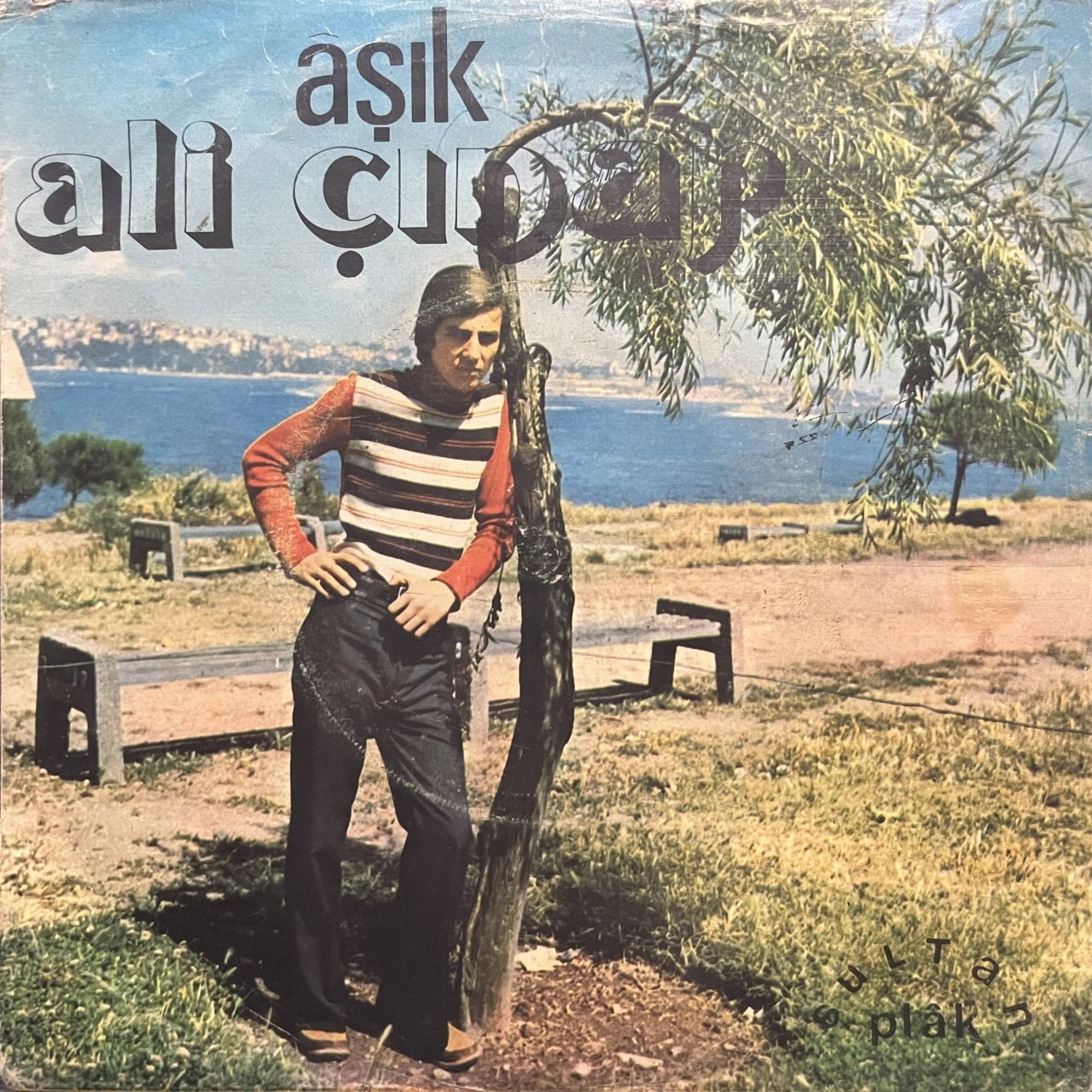 Aşık Ali Çınar Sevdim Seni Yalan Deyil 45lik Plak