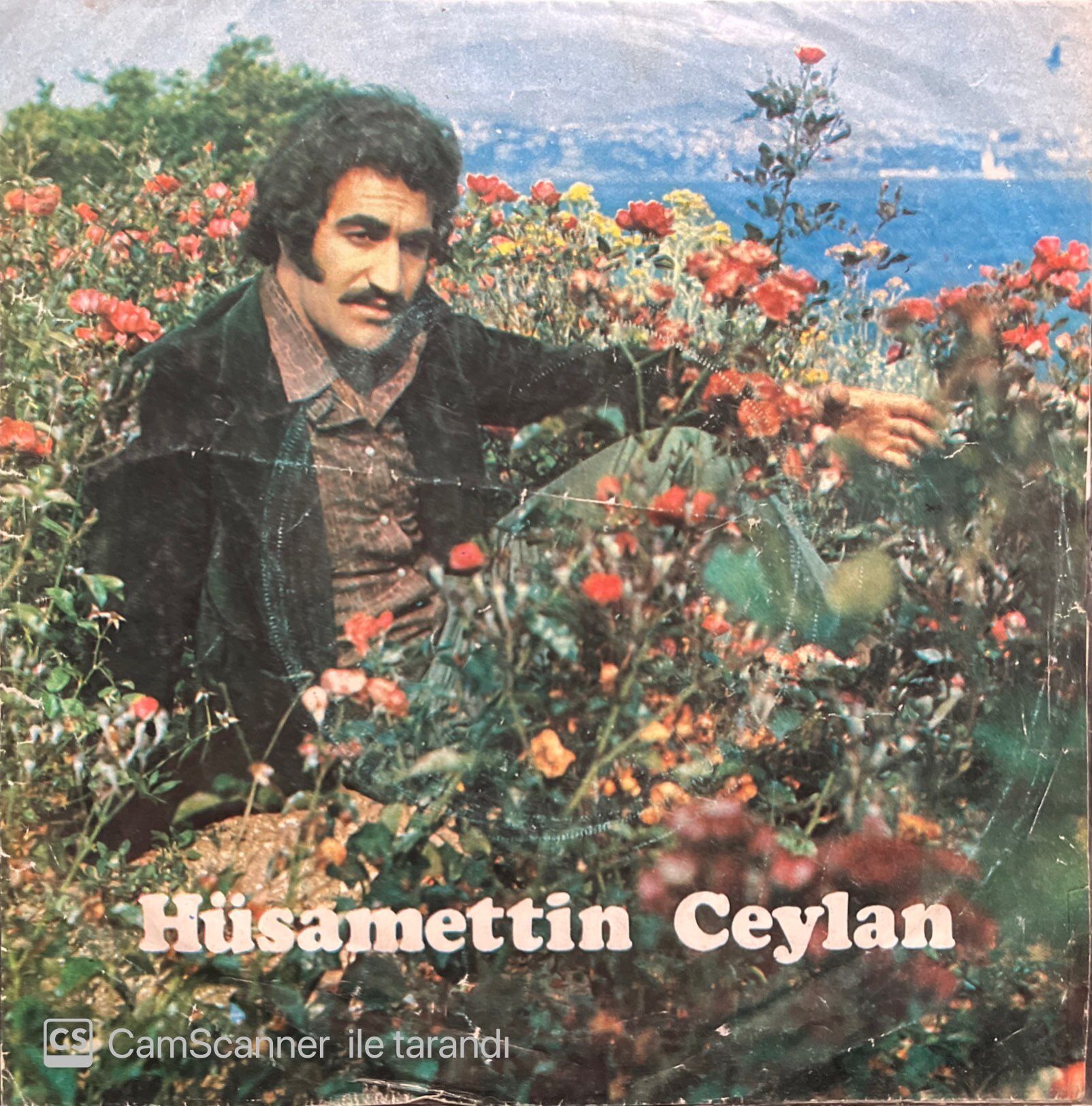 Hüsamettin Ceylan Seviyorum Ayrılamam 45lik Plak