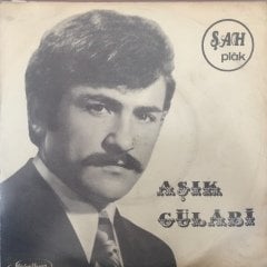 Aşık Gülabi Her Günü Sor Ele 45lik Plak