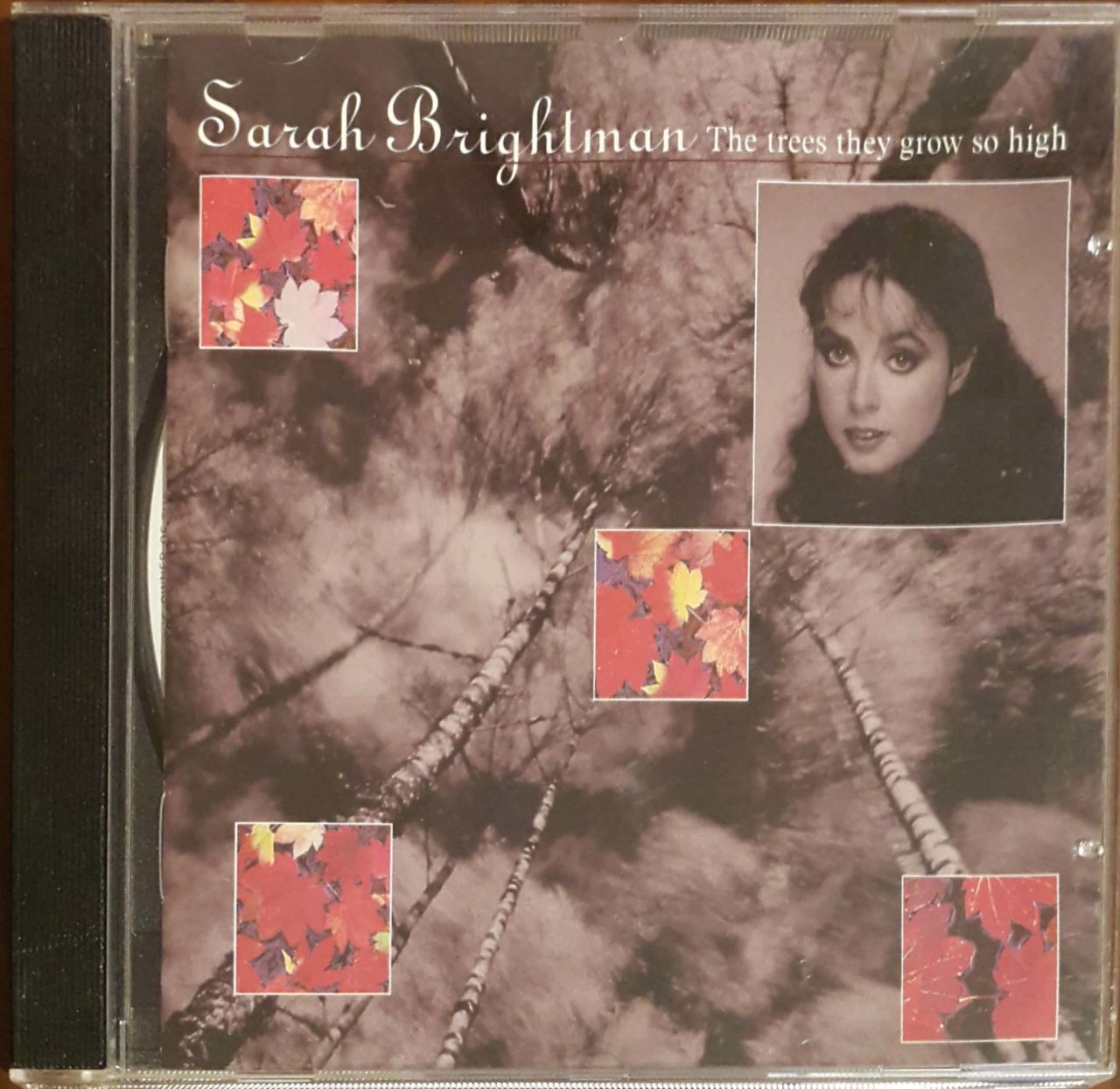 Sazah Brightman The Trees They Grow So High CD