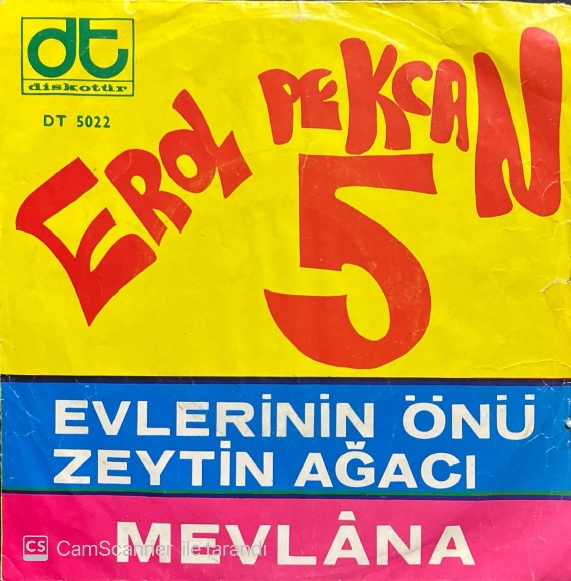 Erol Pekcan 5 Evlerinin Önü Zeytin Ağacı 45lik Plak