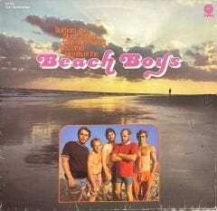 The Beach Boys Beach Boys LP Plak