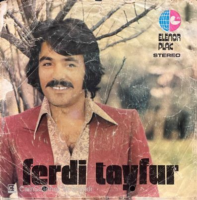 Ferdi Tayfur Merak Etme Sen 45lik plak