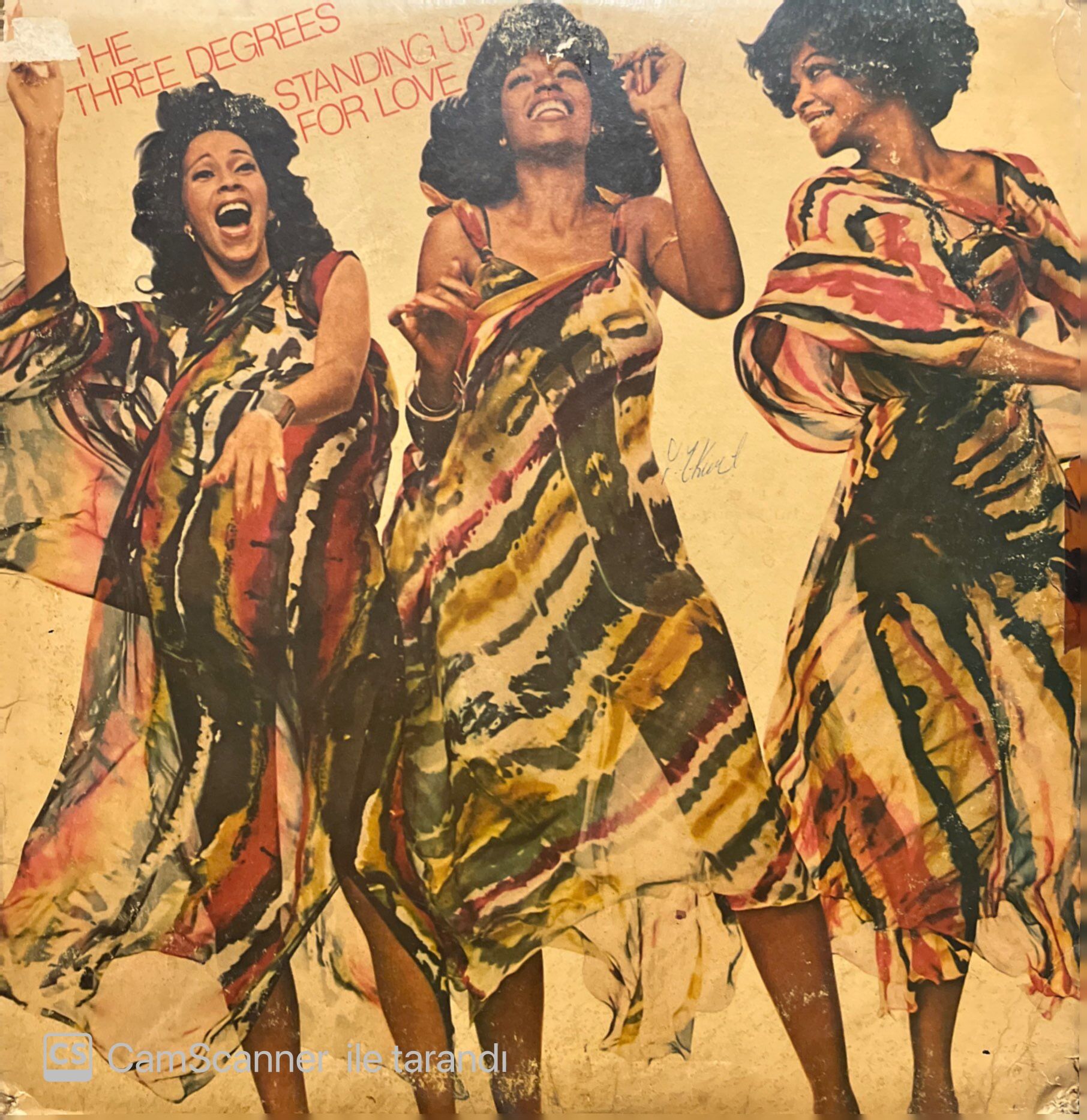 The Three Degrees Standing Up For Love LP Plak
