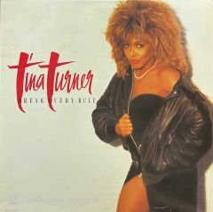 Tina Turner Break Every Rule LP Plak