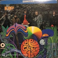 Bee Gees 1st LP Plak