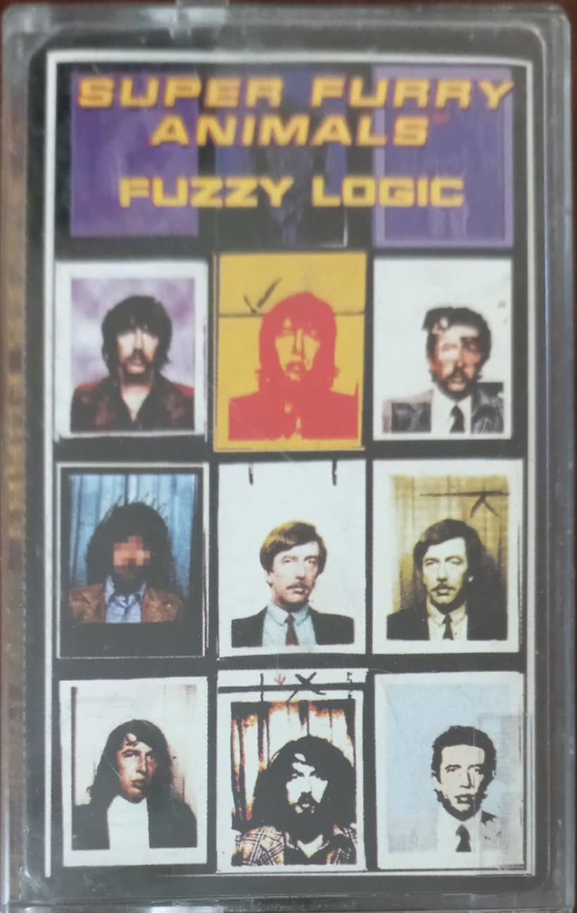 Super Furry Anımals Fuzzy Logic Kaset