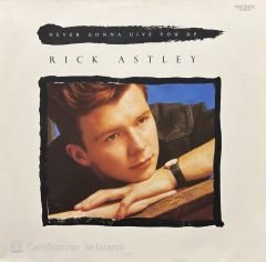 Rick Astley Never Gonna Give You Up LP Plak