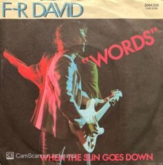 F. R. David Words 45lik Plak