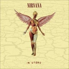 Nirvana In Utero Limited Edition 30Th Anniversary Edition Double LP