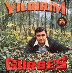 Yıldırım Gürses Hırçın Kız 45lik Plak