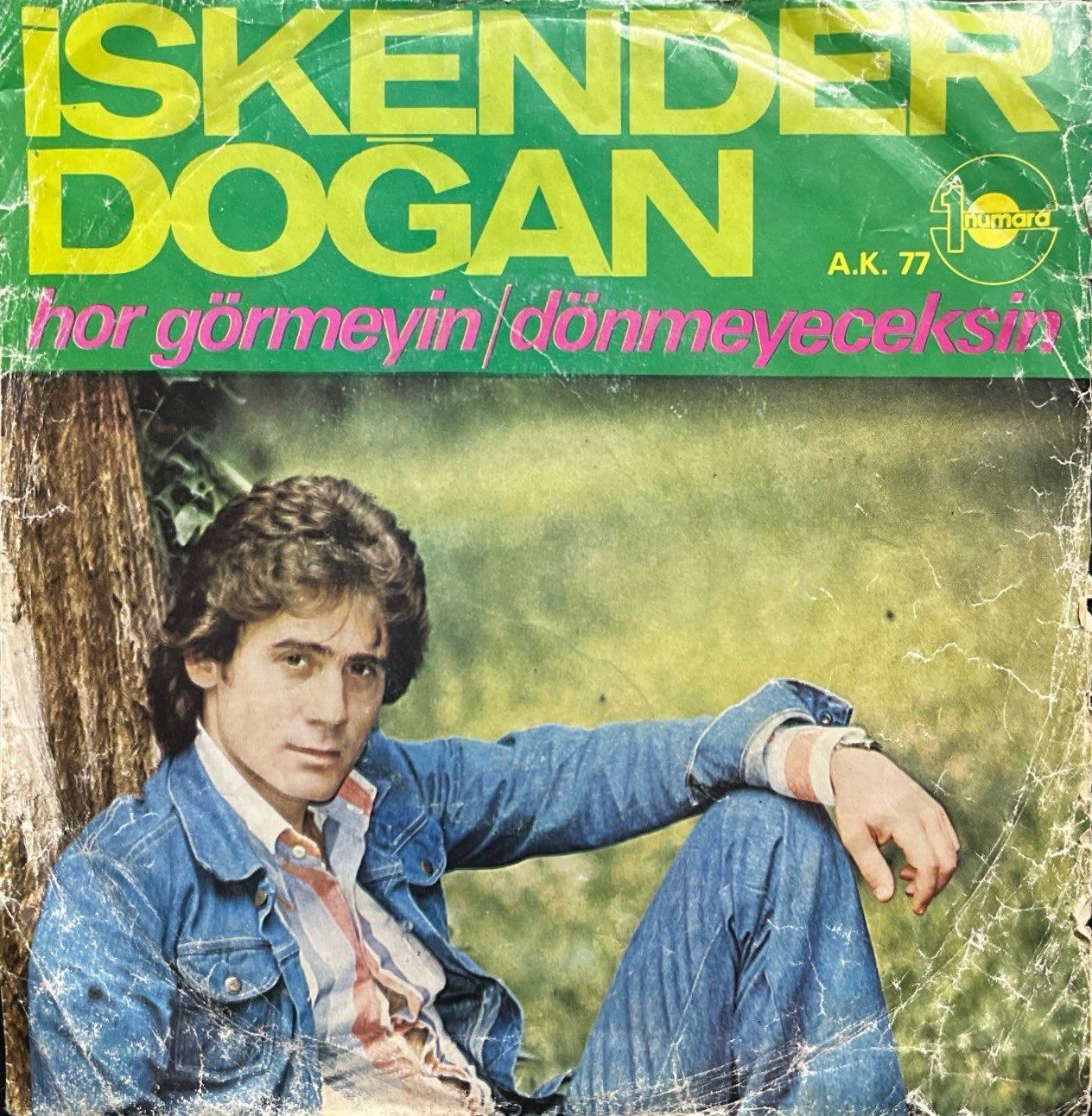 İskender Doğan Hor Görmeyin 45lik Plak