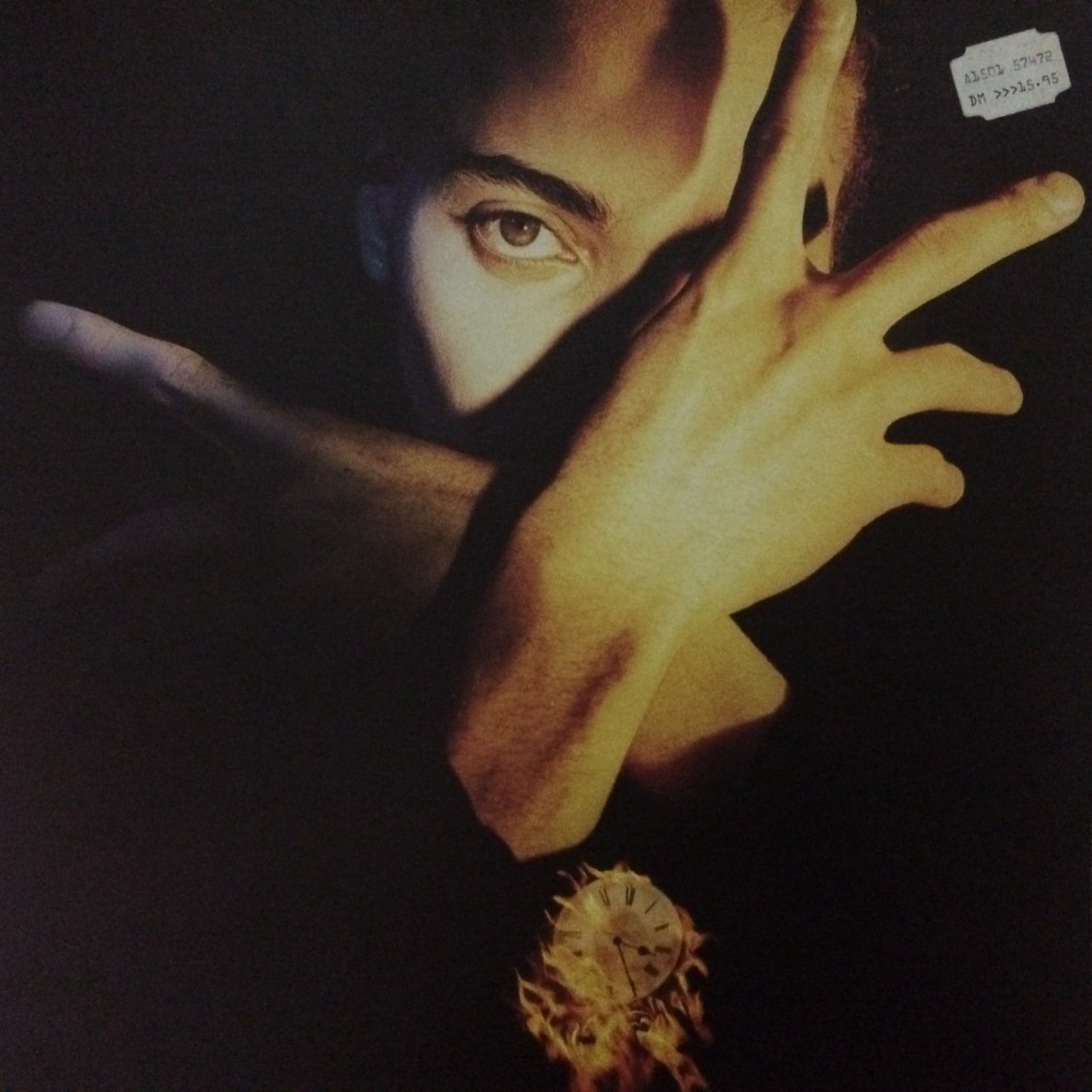 Terence Trent D'Arby Neither Fish Nor Flesh LP Plak