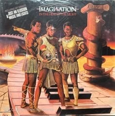 Imagination In The Heat Of The Night LP Plak
