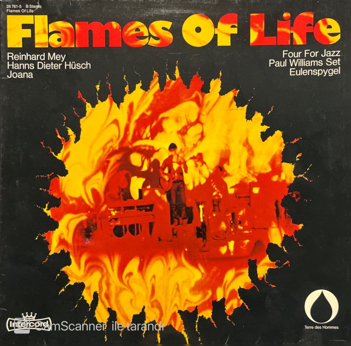 Flames Of Life LP Plak