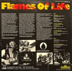 Flames Of Life LP Plak
