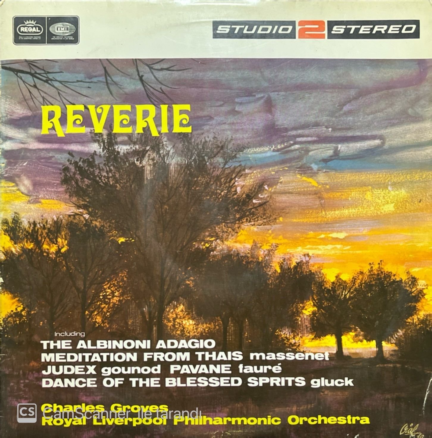 Charles Groves Reverie The Albinoni Adagio LP Plak