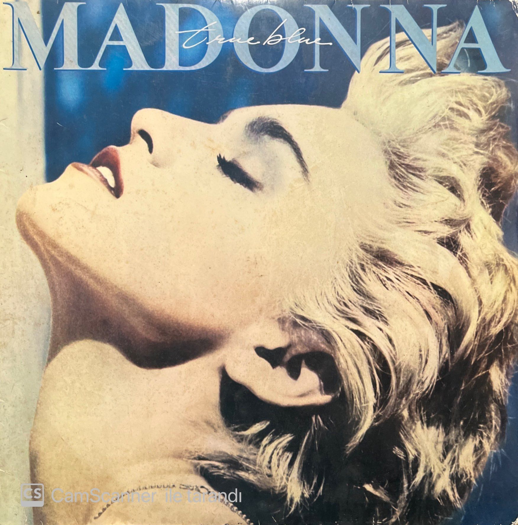 Madonna True Blue LP Plak