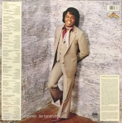 James Brown Gravity Beyaz Renkli LP Plak