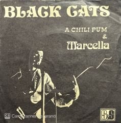 Black Cats A Chili Pum 45lik Plak