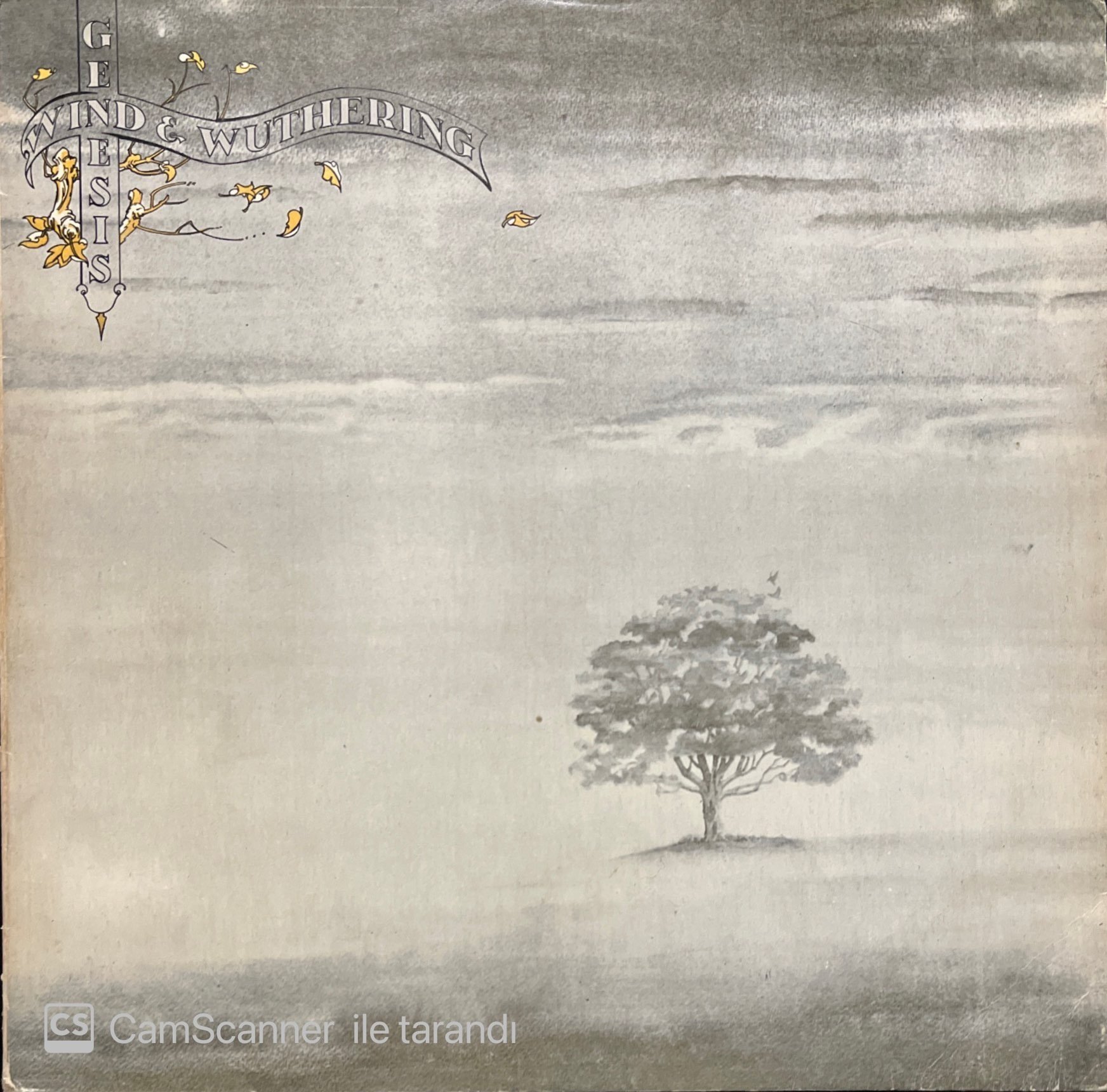 Genesis Wind & Wuthering LP Plak